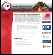 Screenshot: Example Website Design - Informational Community Organization
