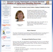 Screenshot: Example Website Development - Kenosha, WI